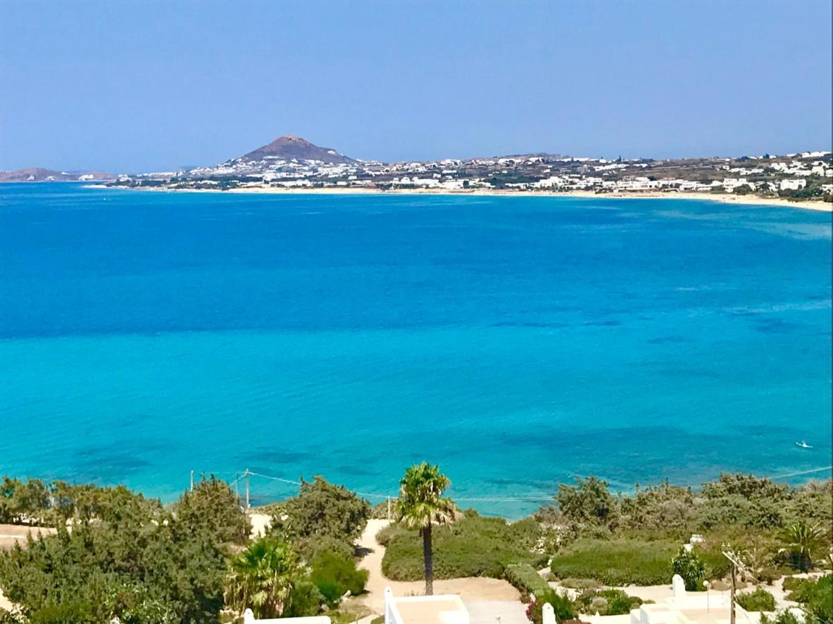 Apricot And Sea Luxury Villas 米科利维亚 外观 照片